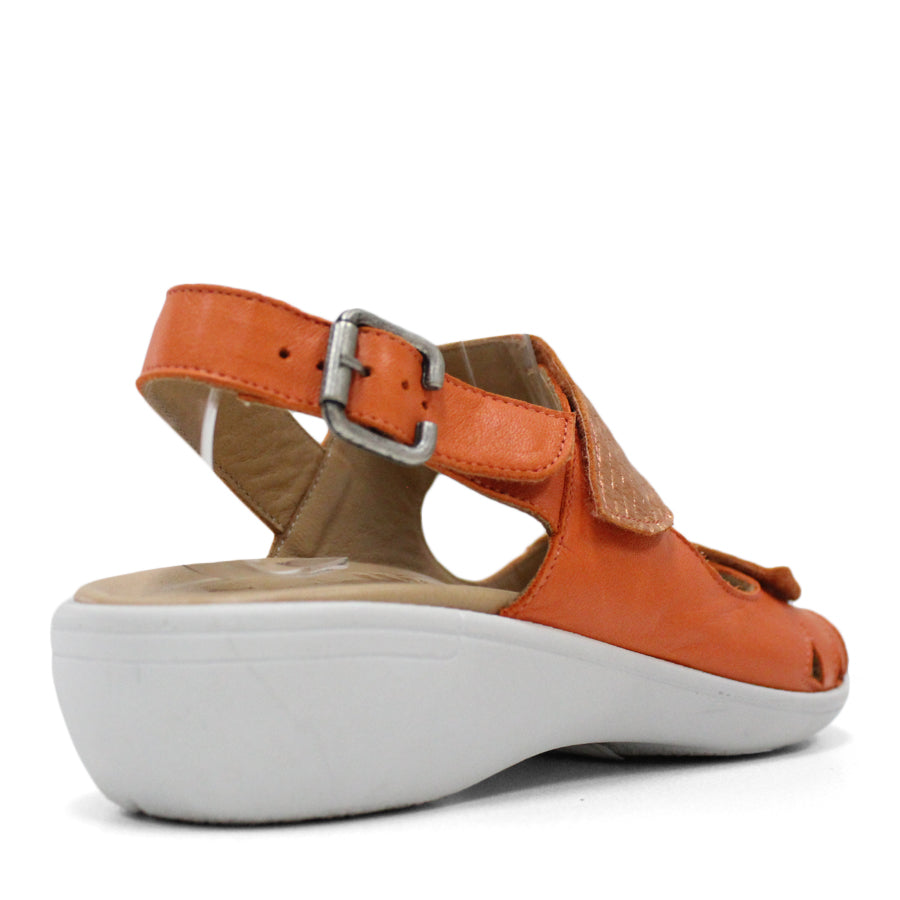 BACK VIEW OF ORANGE Y BACK SANDAL WITH BUCKLE AND CUT OUT DETAILLING NEAR TOES 