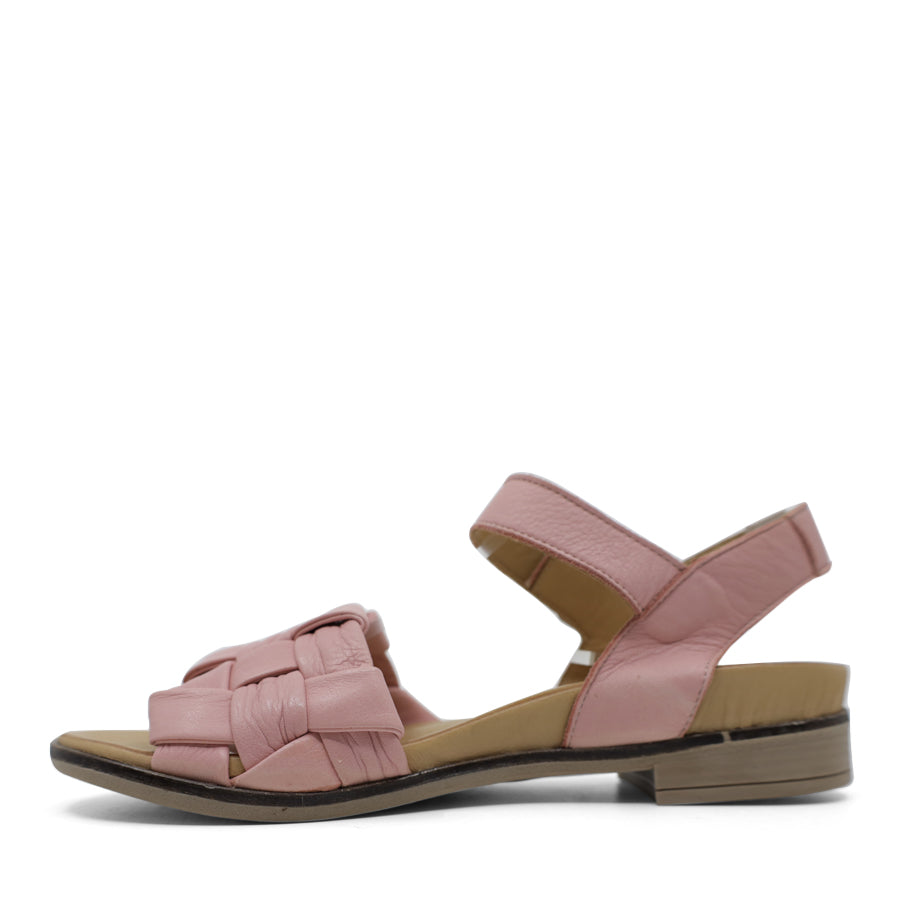 TESSELLI GOLDIE FLAT SANDALS