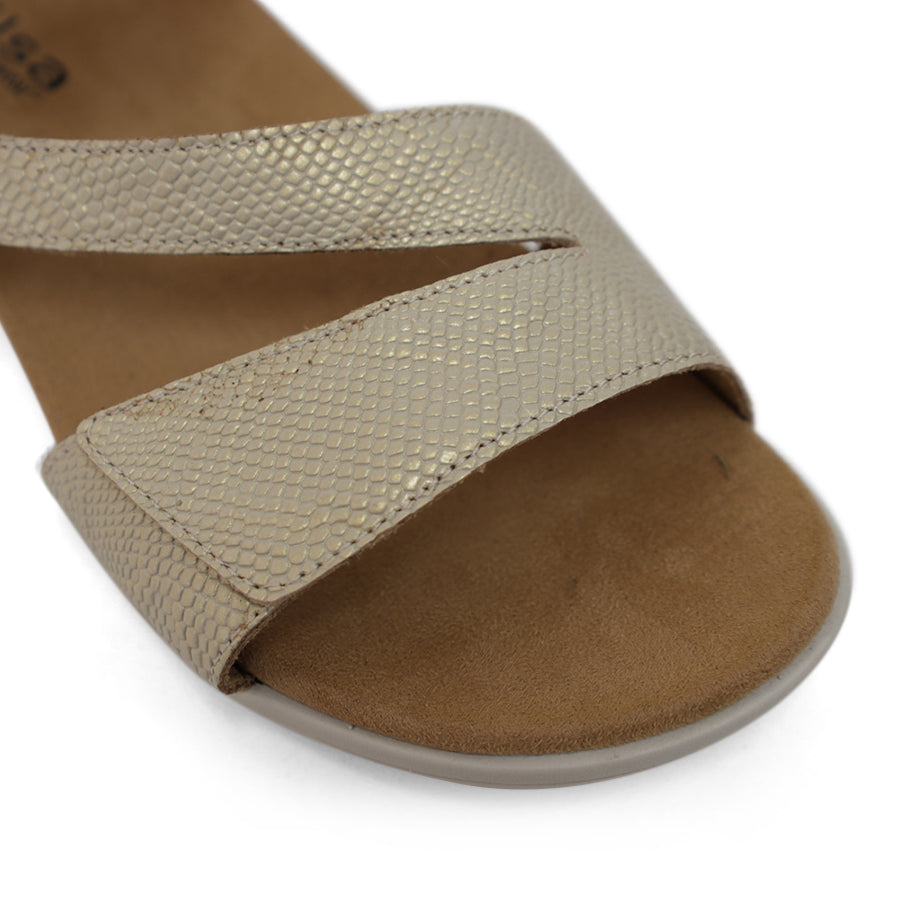 FRONT VIEW OF GOLD FLAT SANDAL WITH OPEN TOE, OPEN BACK, WHITE SOLE AND THREE STRAPS ACROSS THE FRONT 