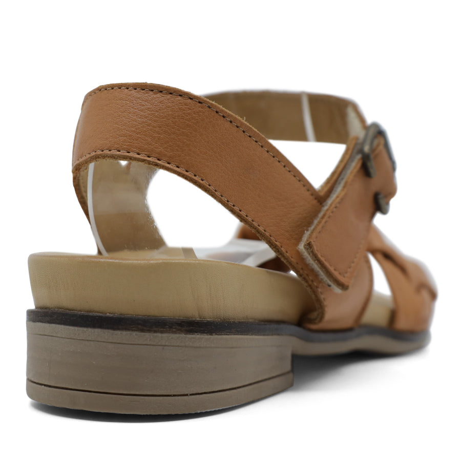 BACK VIEW OF TAN LEATHER STRAP SANDAL. FRONT STRAP INTERWOVEN PLAITED LEATHER. VELCRO ADJUSTABLE Y BACK WITH DECORATIVE BUCKLE